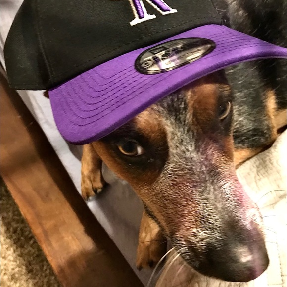 Meet your Posher, Harry - Picture 10 of 12